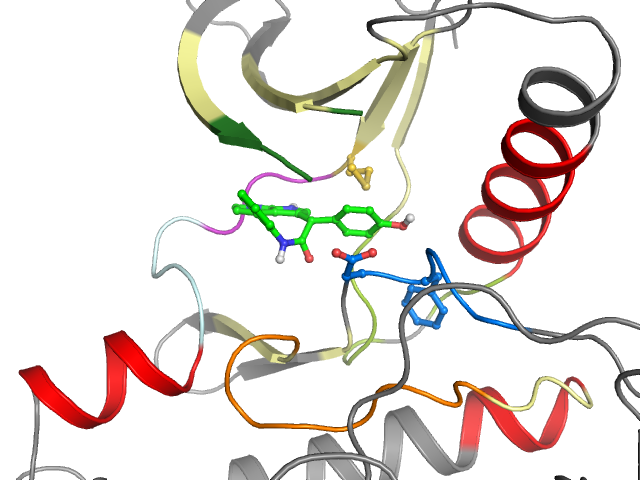 The orthosteric binding pocket