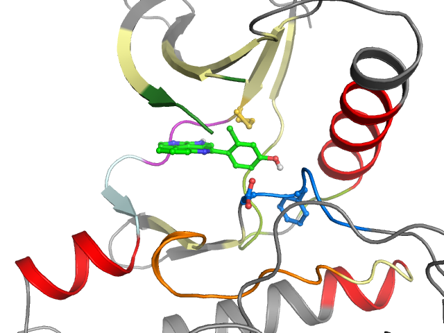 The orthosteric binding pocket