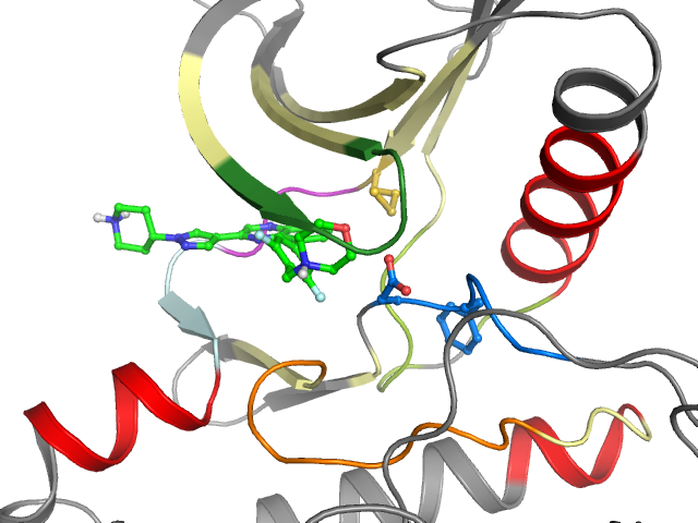 The orthosteric binding pocket