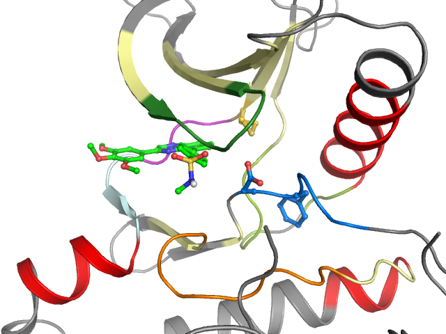 The orthosteric binding pocket