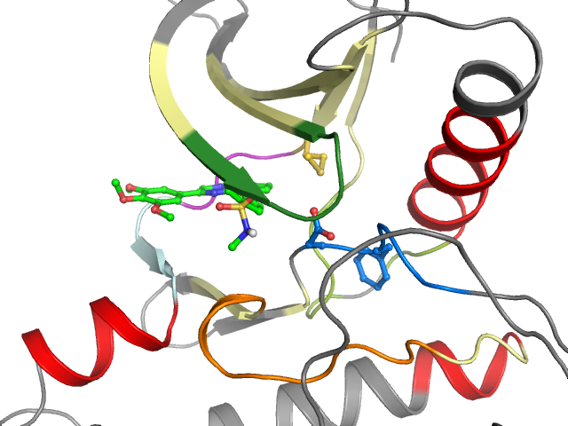 The orthosteric binding pocket