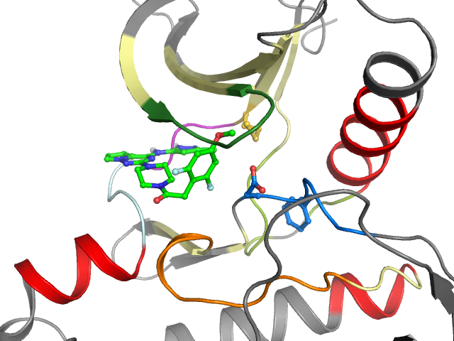 The orthosteric binding pocket