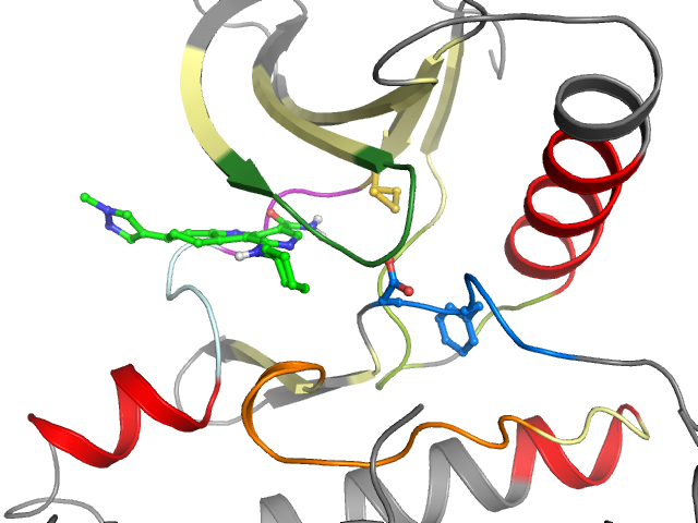 The orthosteric binding pocket