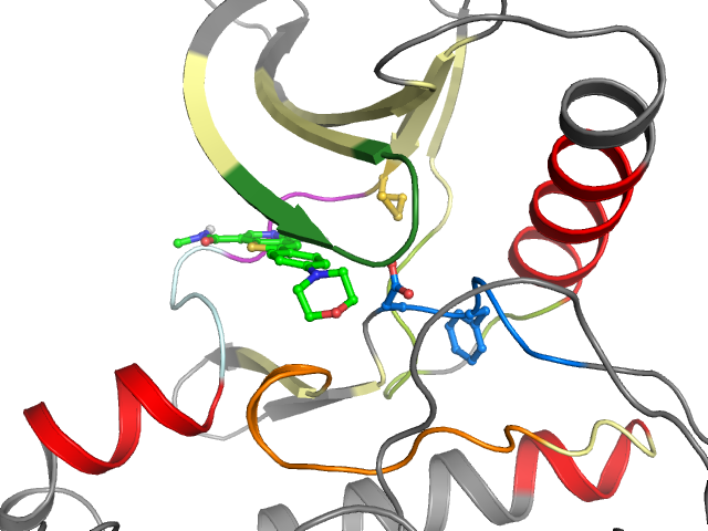 The orthosteric binding pocket