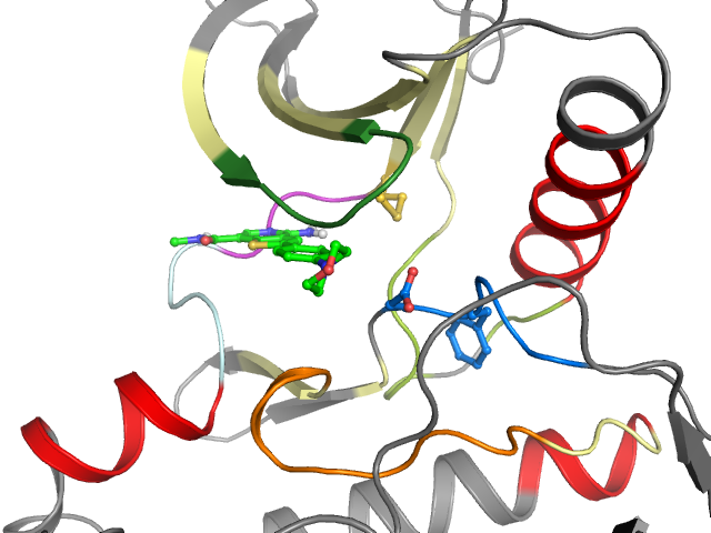 The orthosteric binding pocket