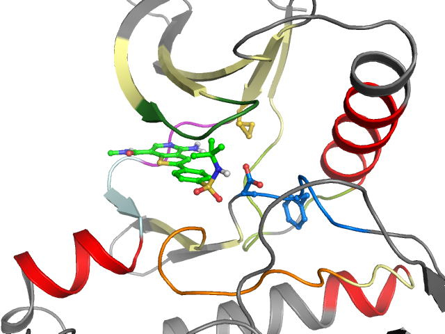 The orthosteric binding pocket