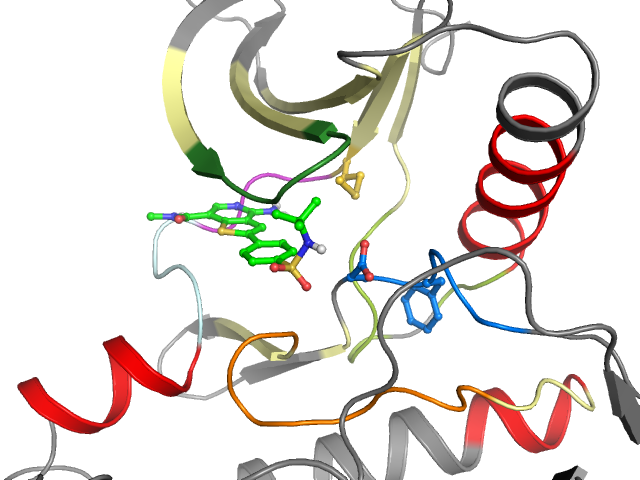 The orthosteric binding pocket