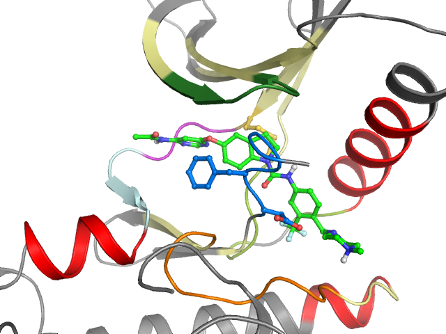 The orthosteric binding pocket