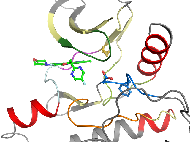 The orthosteric binding pocket