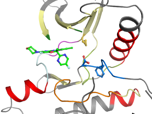 The orthosteric binding pocket