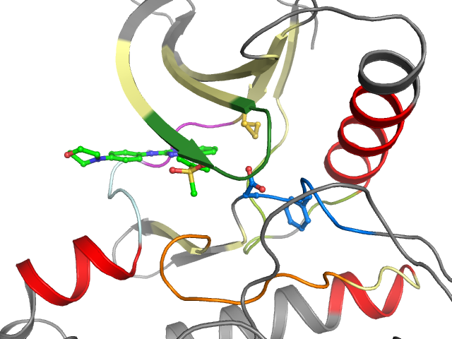 The orthosteric binding pocket