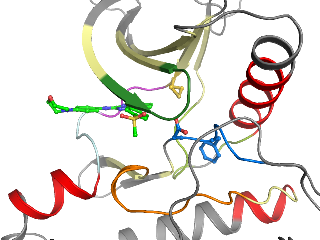 The orthosteric binding pocket