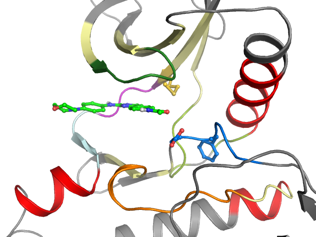 The orthosteric binding pocket
