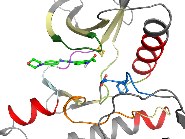 The orthosteric binding pocket