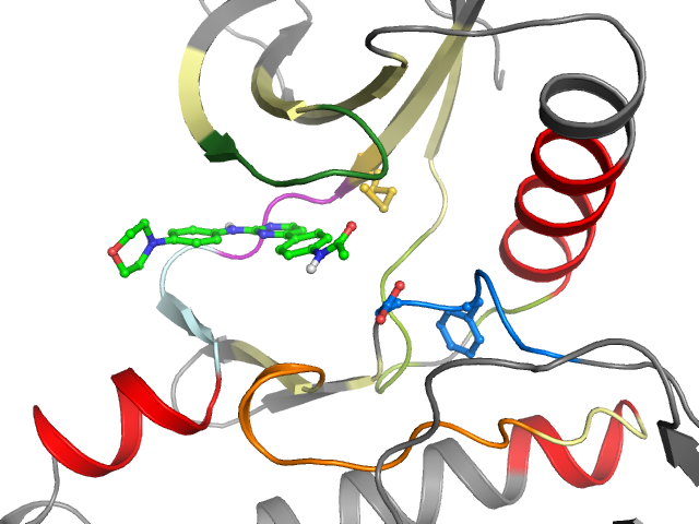 The orthosteric binding pocket