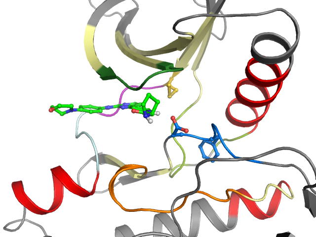 The orthosteric binding pocket