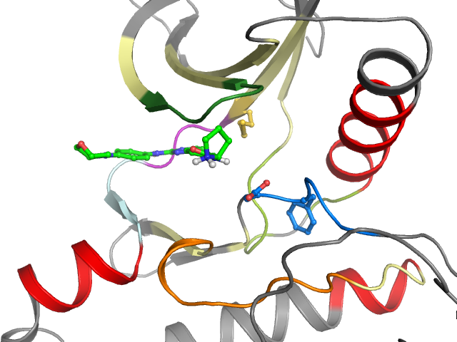 The orthosteric binding pocket