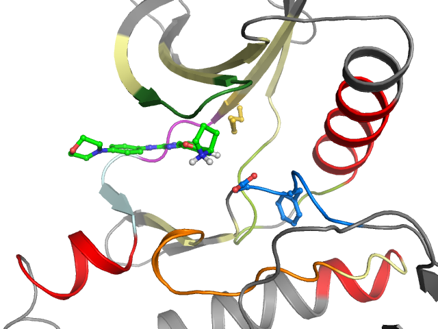 The orthosteric binding pocket