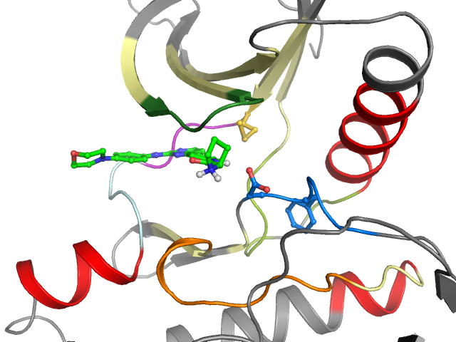 The orthosteric binding pocket