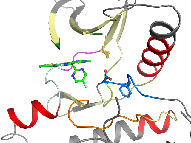 The orthosteric binding pocket