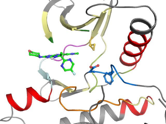 The orthosteric binding pocket