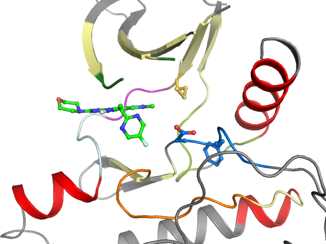 The orthosteric binding pocket