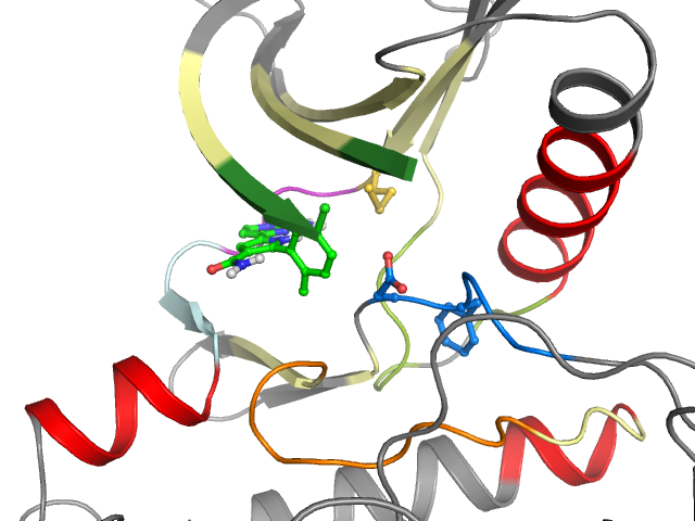 The orthosteric binding pocket