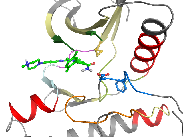 The orthosteric binding pocket
