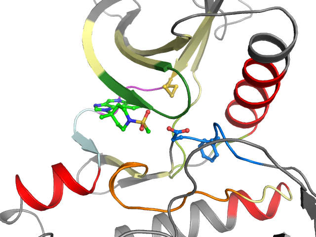 The orthosteric binding pocket
