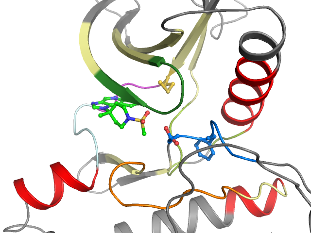 The orthosteric binding pocket