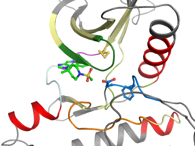 The orthosteric binding pocket