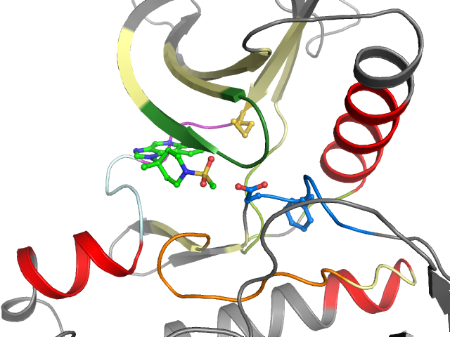 The orthosteric binding pocket
