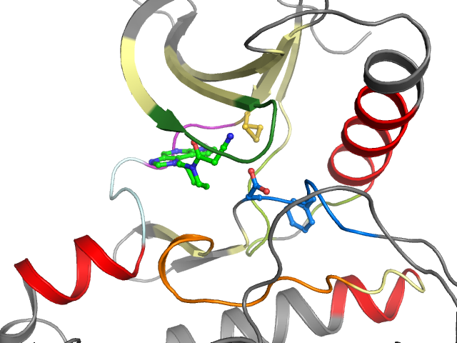 The orthosteric binding pocket