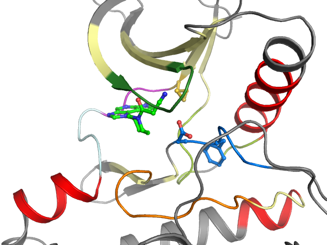 The orthosteric binding pocket