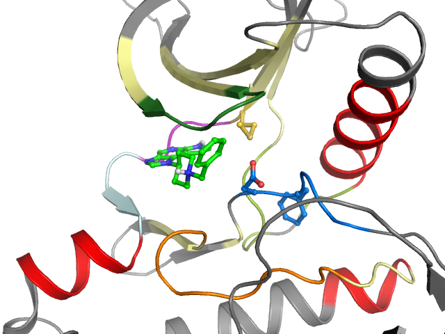 The orthosteric binding pocket