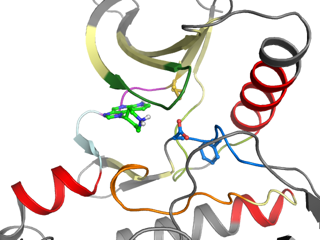 The orthosteric binding pocket