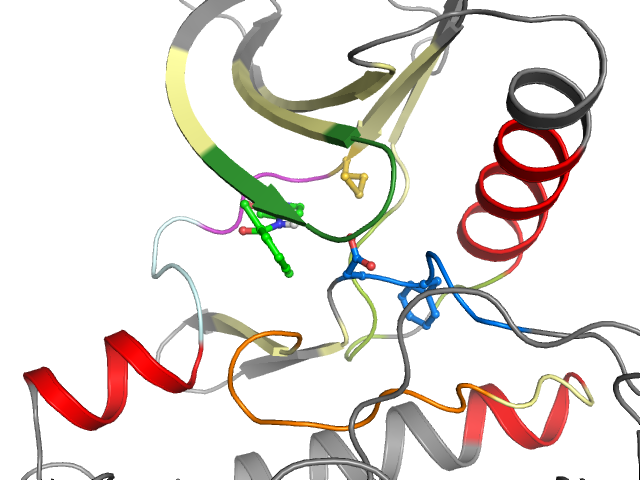 The orthosteric binding pocket