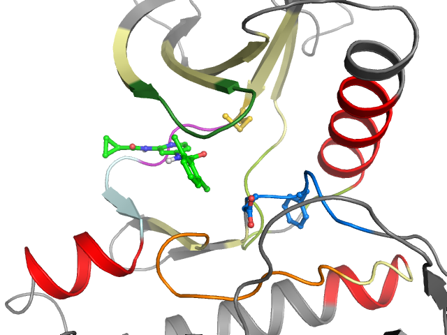 The orthosteric binding pocket