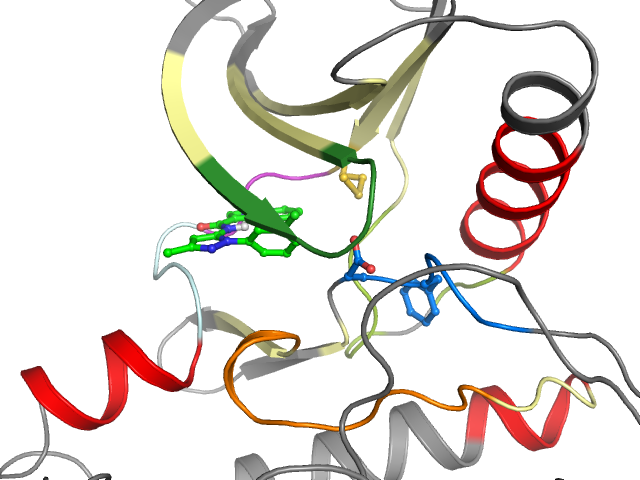 The orthosteric binding pocket