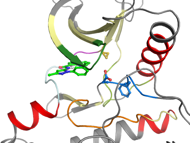The orthosteric binding pocket