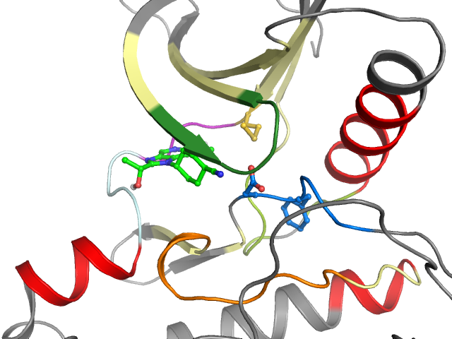The orthosteric binding pocket