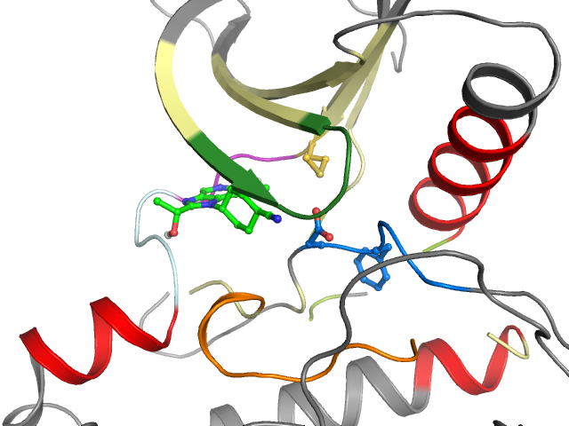 The orthosteric binding pocket