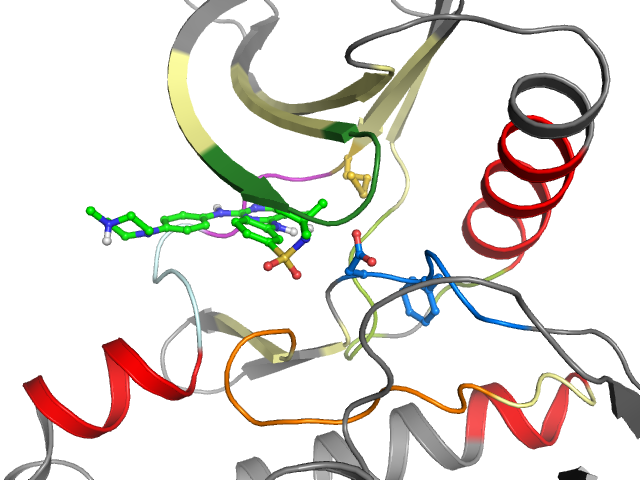 The orthosteric binding pocket