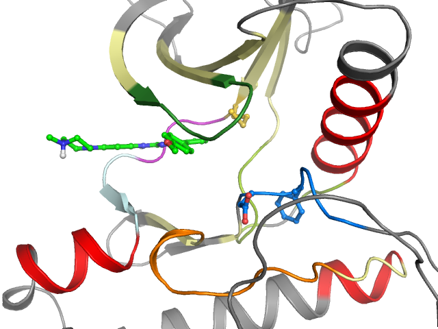 The orthosteric binding pocket