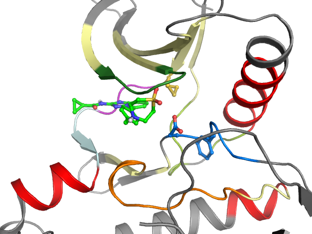 The orthosteric binding pocket