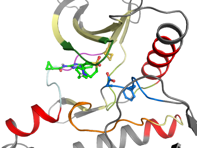 The orthosteric binding pocket