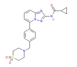 2D structure of the orthosteric ligand