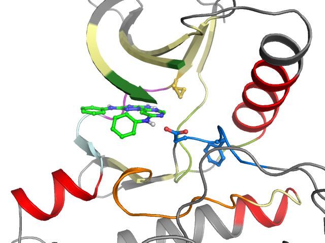 The orthosteric binding pocket
