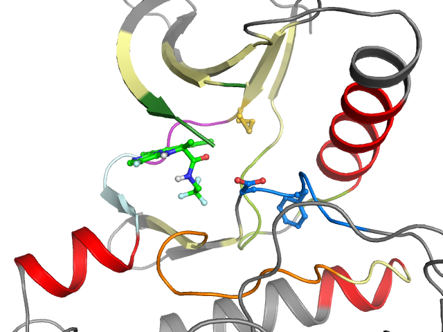 The orthosteric binding pocket