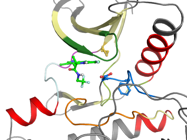 The orthosteric binding pocket